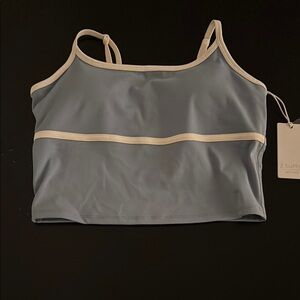 Z Supply Gray and Cream Tank Top